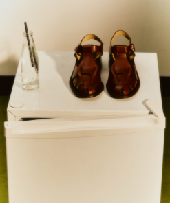 Vectormode.shop08c0f5273e 5