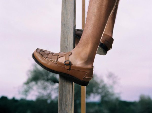 Vectormode.shop3ff097ae1f 5