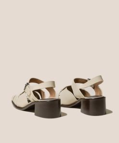 Vectormode.shop55d32cf147 4