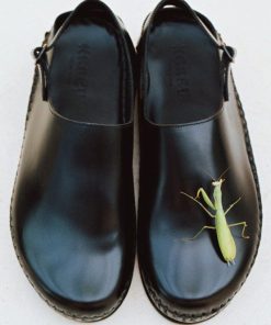 Vectormode.shop8db6333dd6 2