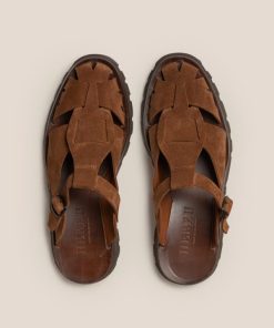 Vectormode.shop8e49e3d67f 3