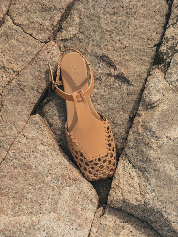 Vectormode.shopa6680214d6 2