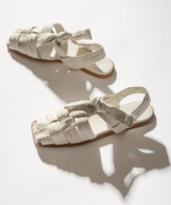 Vectormode.shopb4cc157bb6 2