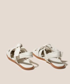 Vectormode.shopb4cc157bb6 4