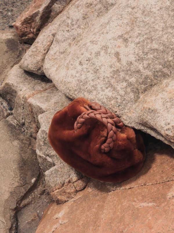 Vectormode.shopc34243a32e 2