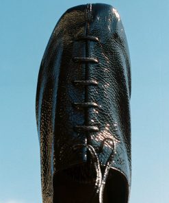 Vectormode.shopc5fe61c5d6 5