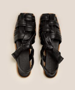 Vectormode.shopefaea8075f 2